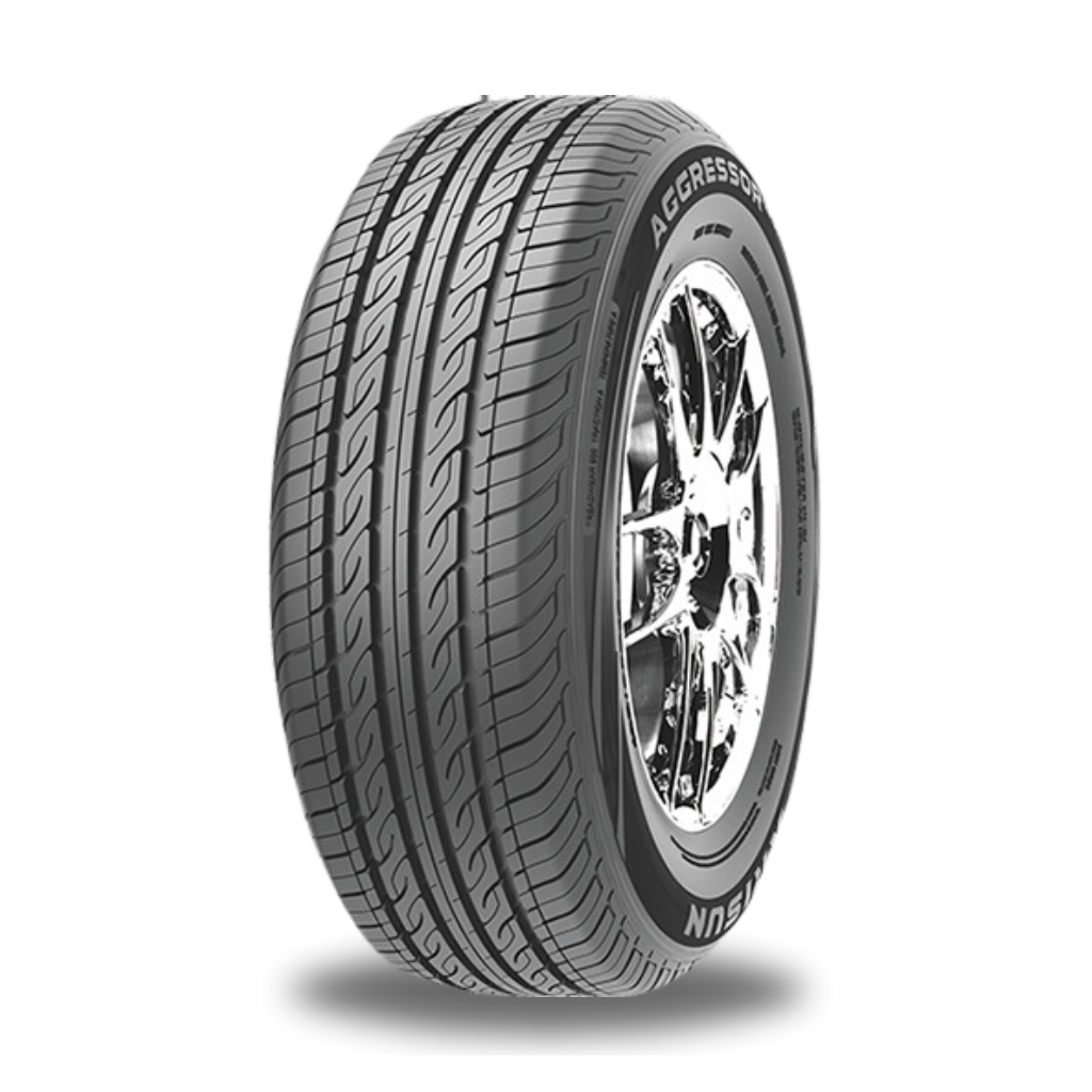 205/55R16 Arisun ZP01