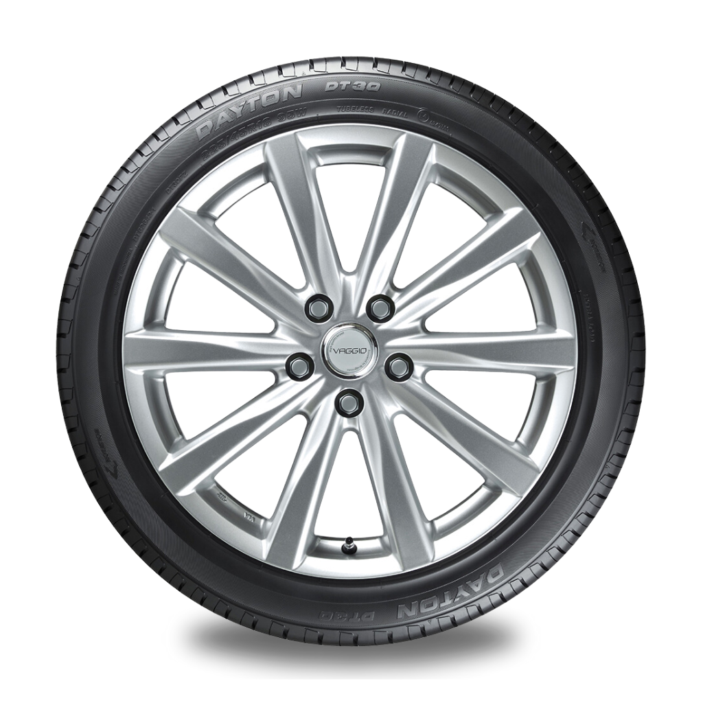Dayton DT30 195/65R15 